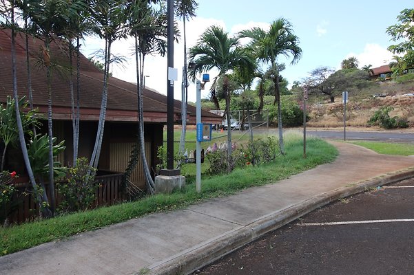 th IMG 1207 th IMG 1207