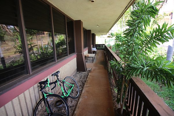 th IMG 1197 th IMG 1197