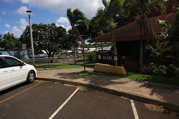 th IMG 1190 th IMG 1190