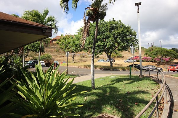 th IMG 1203 th IMG 1203