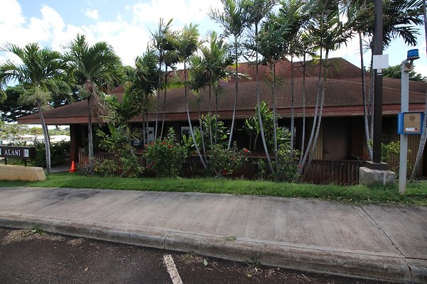 th IMG 1208 th IMG 1208