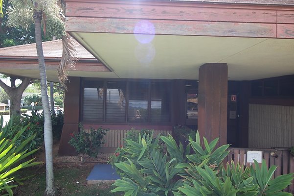 th IMG 1194 th IMG 1194