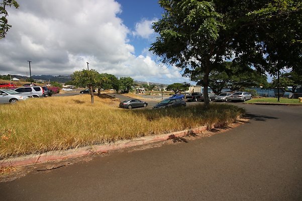 th IMG 1189 th IMG 1189