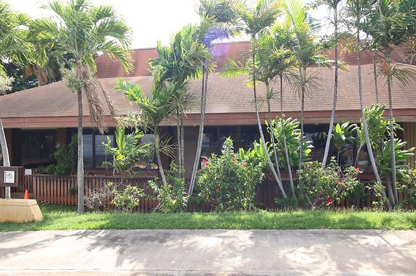 th IMG 1191 th IMG 1191