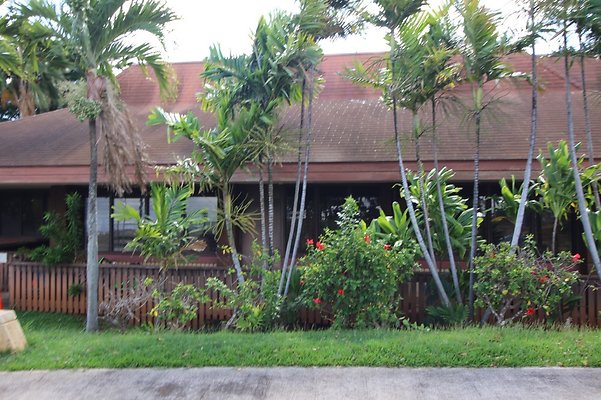 th IMG 1206 th IMG 1206