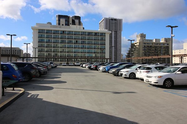 International Marketplace 2300 Kalakaua Ave Breana Grosz 808.921.0552 International Marketplace 2300 Kalakaua Ave Breana Grosz 808.921.0552