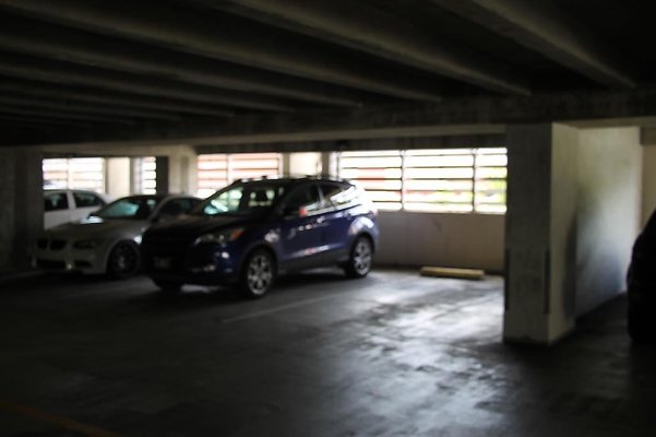 hi50 IMG 1460 hi50 IMG 1460