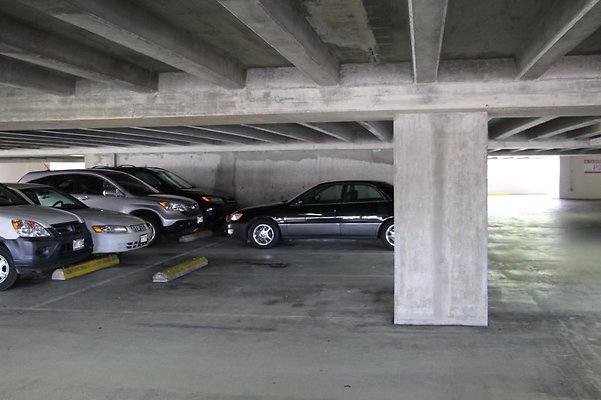 hi50 IMG 1463 hi50 IMG 1463