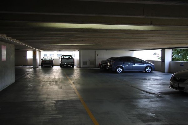 hi50 IMG 1455 hi50 IMG 1455