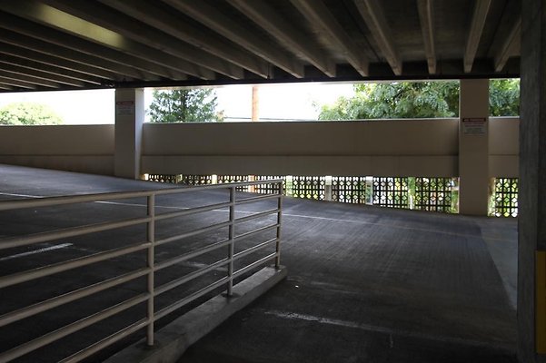 hi50 IMG 1446 hi50 IMG 1446