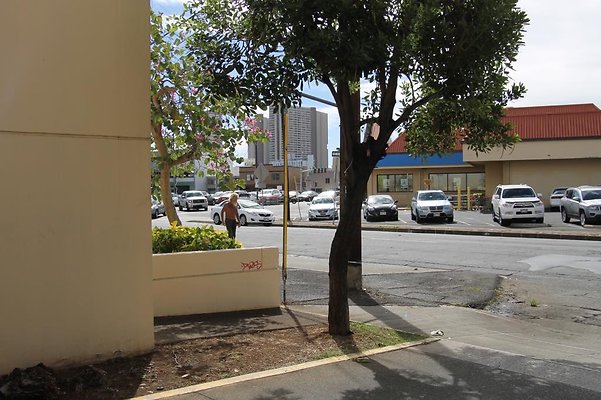 hi50 IMG 1429 hi50 IMG 1429