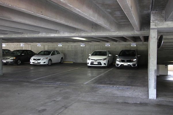 hi50 IMG 1470 hi50 IMG 1470