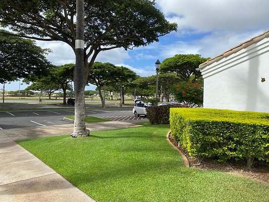 th IMG 0631 th IMG 0631