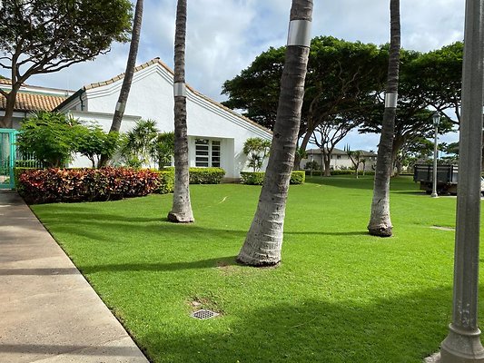 th IMG 0628 th IMG 0628