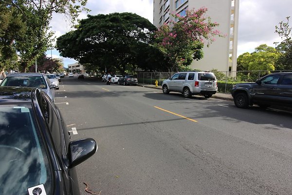 th IMG 0696 th IMG 0696