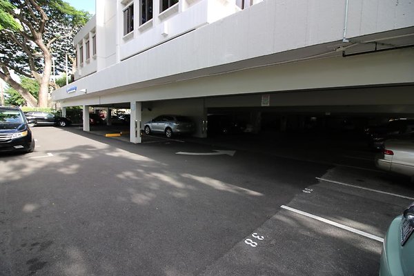 th IMG 0666 th IMG 0666