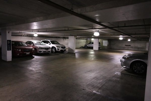 th IMG 2199 th IMG 2199