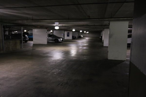 th IMG 2201 th IMG 2201