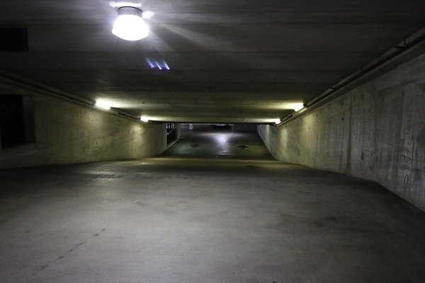 th IMG 2203 th IMG 2203