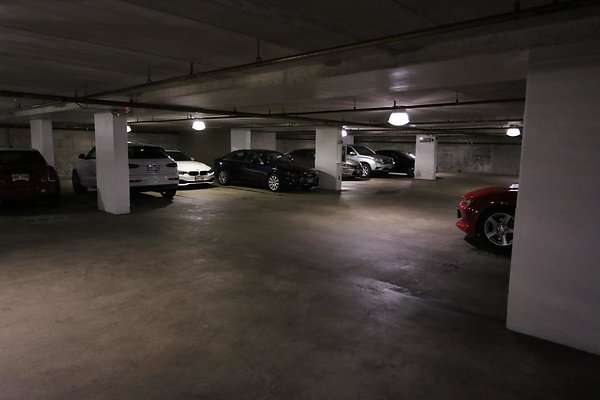 th IMG 2191 th IMG 2191