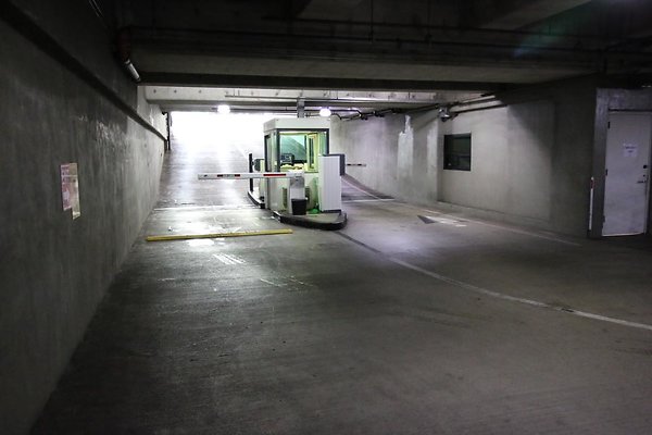 th IMG 2216 th IMG 2216