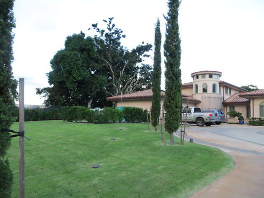 Kailua 916 Maunawili Rd- Ally Park 679.4235 Kailua 916 Maunawili Rd- Ally Park 679.4235