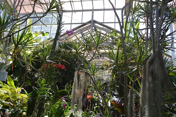 th DSC 0638 th DSC 0638