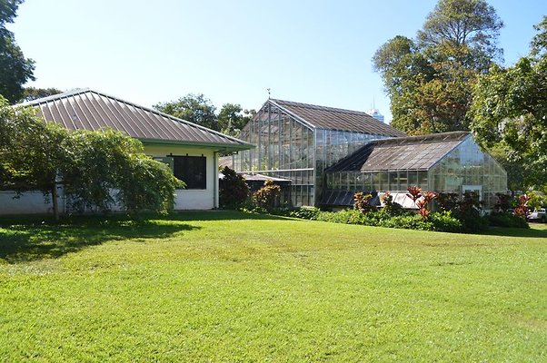 th DSC 0619 th DSC 0619