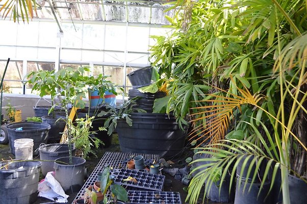 th DSC 0636 th DSC 0636