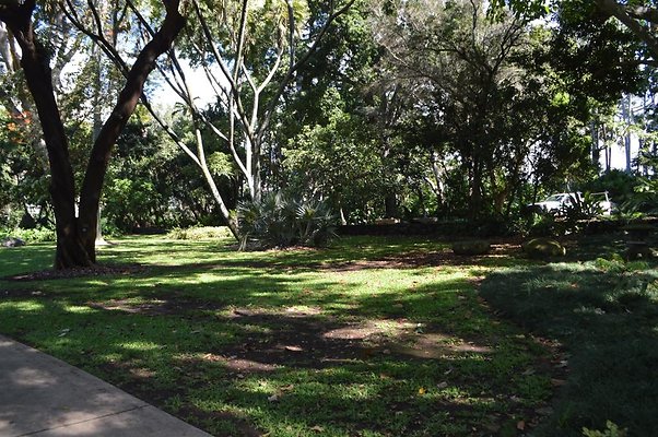 th DSC 0651 th DSC 0651