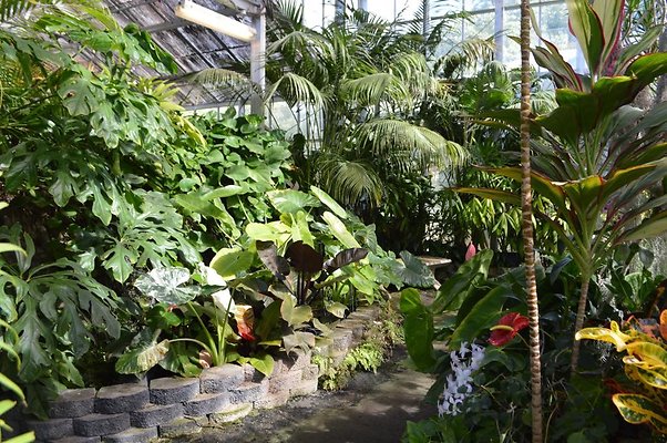 th DSC 0630 th DSC 0630