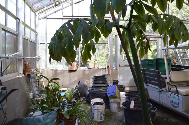 th DSC 0637 th DSC 0637