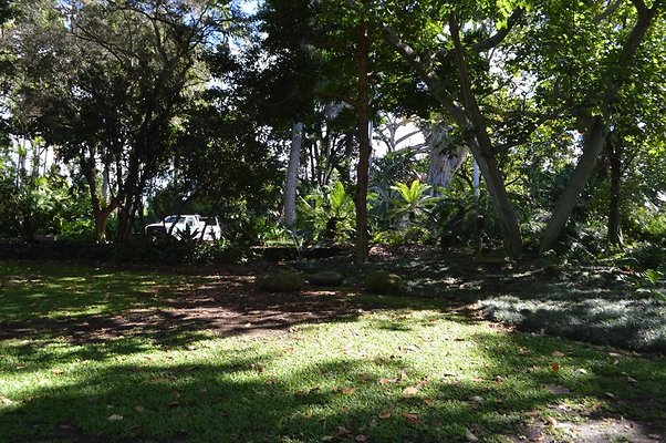 th DSC 0648 th DSC 0648