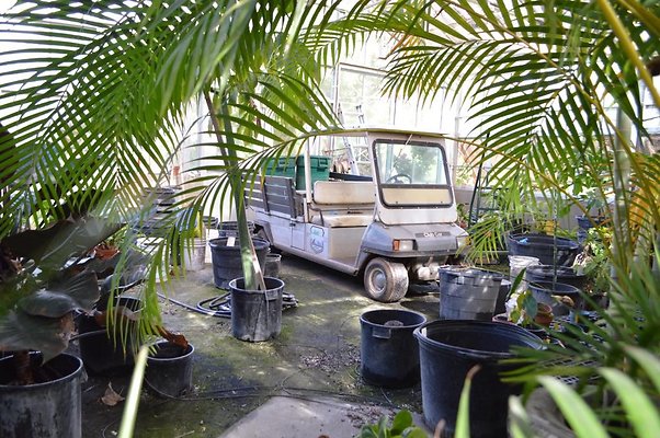 th DSC 0634 th DSC 0634