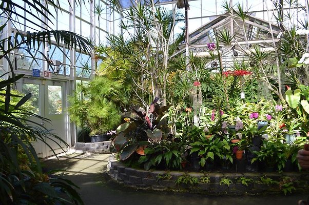 Foster Botanical Garden Greenhouse