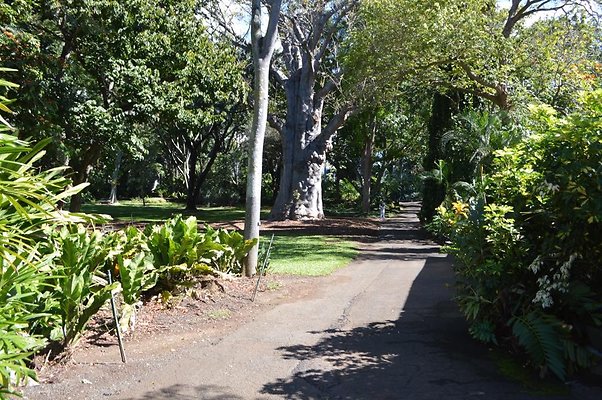 th DSC 0653 th DSC 0653