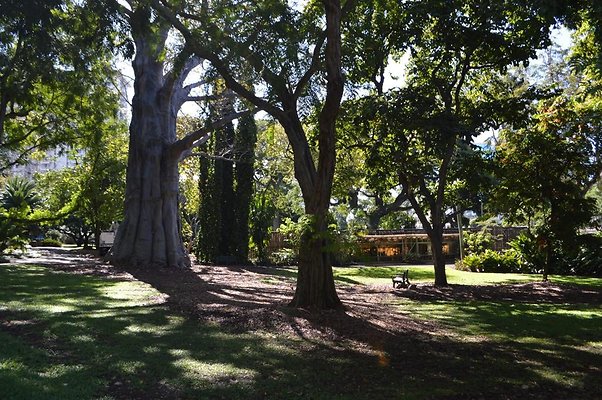 th DSC 0644 th DSC 0644