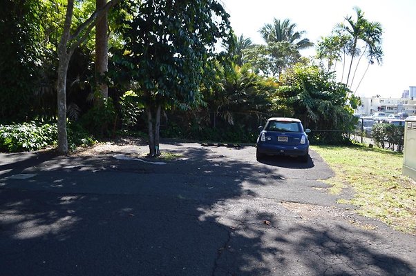 th DSC 0658 th DSC 0658