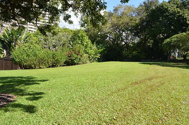 th DSC 0617 th DSC 0617