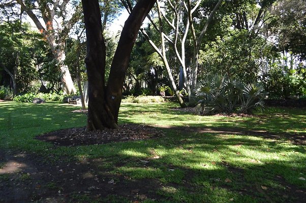 th DSC 0647 th DSC 0647