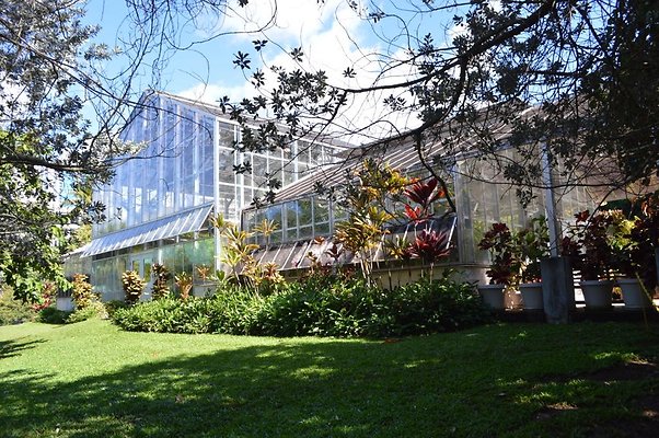 th DSC 0612 th DSC 0612