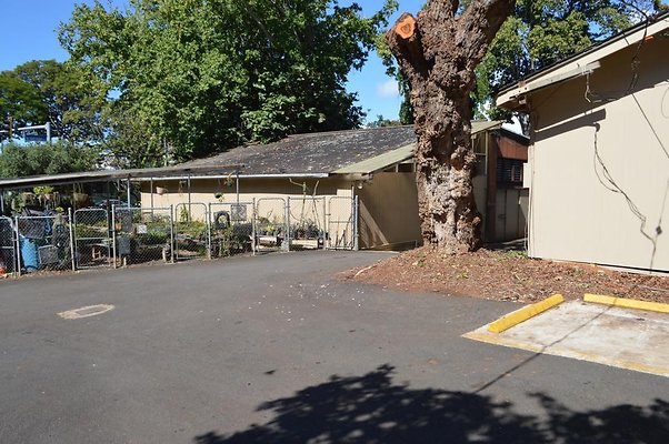 th DSC 0655 th DSC 0655