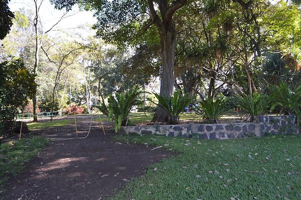 th DSC 0621 th DSC 0621