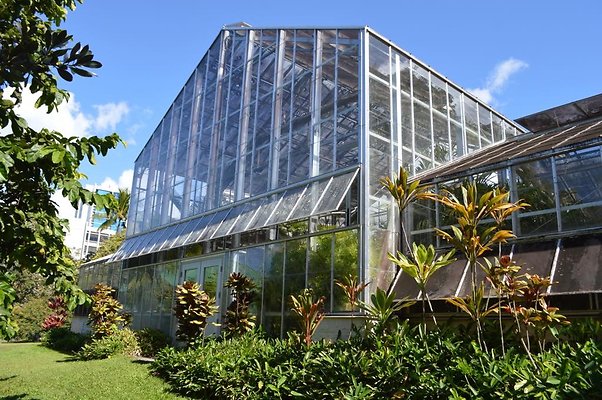 th DSC 0613 th DSC 0613