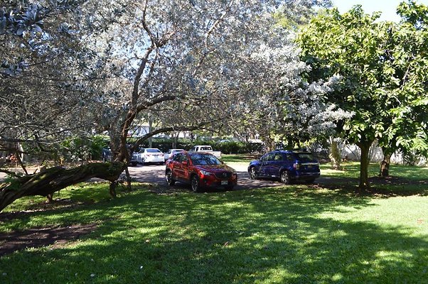 th DSC 0611 th DSC 0611