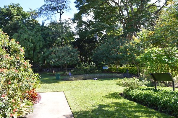 th DSC 0608 th DSC 0608