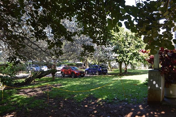 th DSC 0610 th DSC 0610