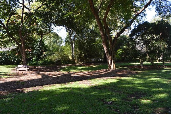 th DSC 0645 th DSC 0645