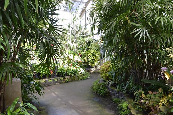 th DSC 0628 th DSC 0628