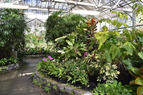 th DSC 0627 th DSC 0627